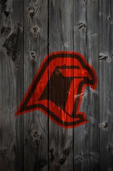 Wood_BGFalcon_Both.jpg