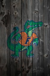 florida_gators_wood.jpg