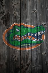 florida_gators_wood2.jpg
