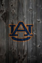 iP4_wood_au.jpg