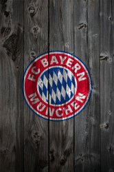iP4_wood_bayern.jpg