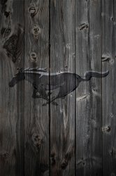 mustang_wood.jpg