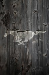 mustang_wood2.jpg
