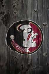 fsu_seminols_wood.jpg