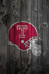temple_wood2.jpg
