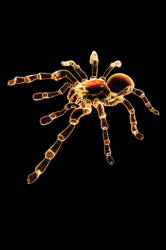 IMG_1014.PNG