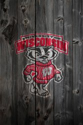 wisconsin_badgers_wood2.jpg