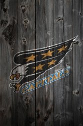 washington_capitals_wood4.jpg