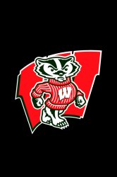 wisconsin_badgers.jpg