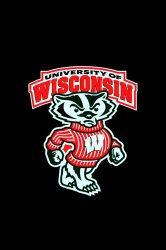 wisconsin_badgers2.jpg