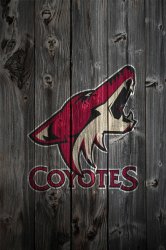 phoenix_coyotes_wood.jpg