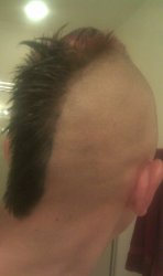 IMAG0184.jpg