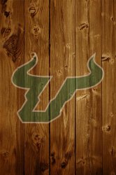 USF logo01.jpg