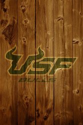 USF02 Soft Light.jpg