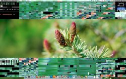 Screen shot 2010-07-04 at 11.45.26 AM.jpg