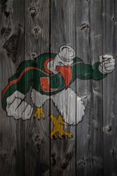U Miami dark01.jpg