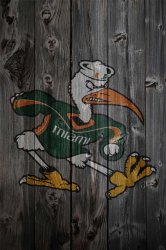 U Miami dark02.jpg