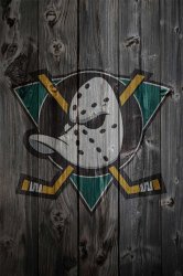 Mighty Ducks dark.jpg