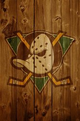 Mighty Ducks.jpg