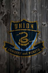 Union grey.jpg