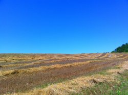 IMG_0026.jpg