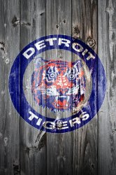 tiger.jpg