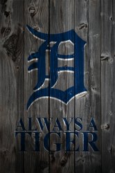 Detroit tigers.jpg