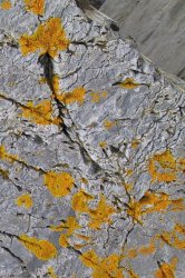 granite2.JPG