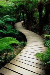 Nature_b_1600.jpg