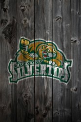 Wood_Silvertips1.jpg