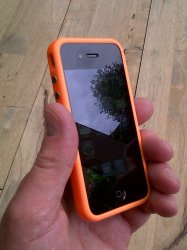 IMG00003-20100710-1357.jpg