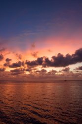 IMG_1311a.jpg
