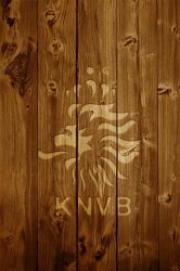 Dutch National Team carving.jpg