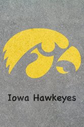 hawkconcrete.jpg