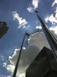 IMG_0110.jpg