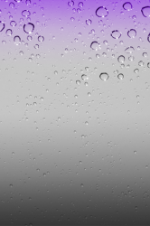 Purple.png