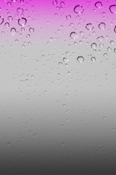 Pink.png