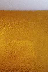 Lager.png