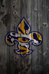 Wood_LSU2.jpg