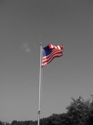 IMG_0497.jpg