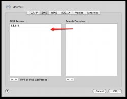 DNS Tab-1.jpg