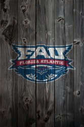 Wood_FAU.jpg