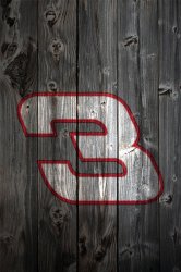 Wood_DaleEarnhardt.jpg