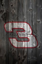 Wood_DaleEarnhardt_Sig.jpg