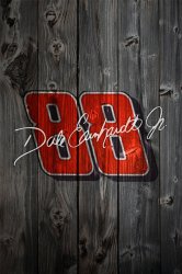 Wood_DaleEarnhardtJr_Sig.jpg