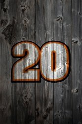 Wood_TonyStewart.jpg