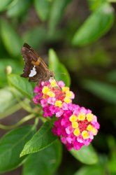DSC_4780 (1).jpg