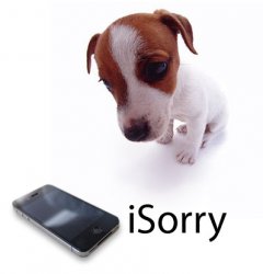 isorry_dog.jpg