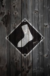 Wood_WhiteSox1.jpg