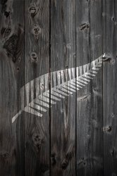 Wood_AllBlacks2.jpg